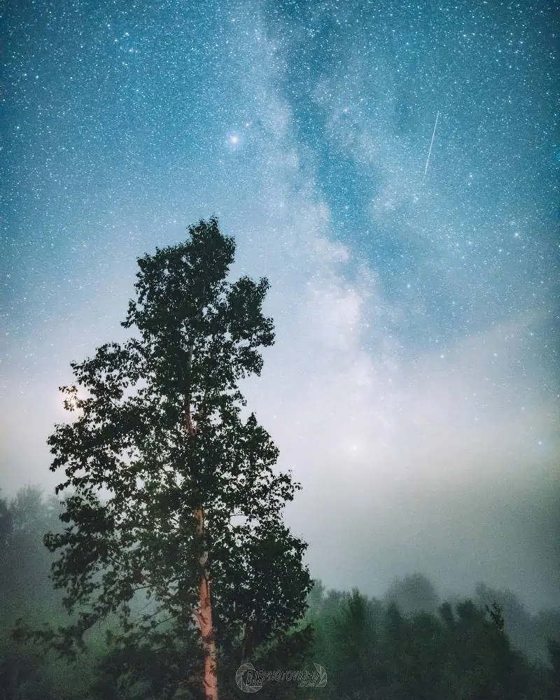 Blue Dream (Credit: Daniel Stein)