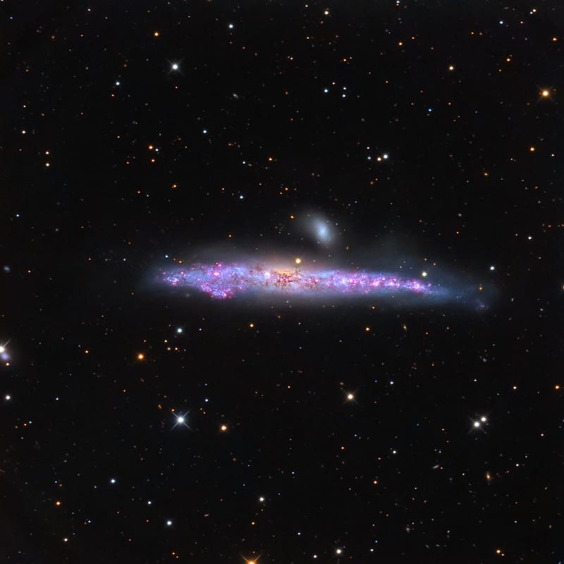 NGC4631 - The Whale Galaxy (credit: Leonardo Orazi)