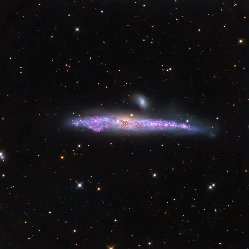 NGC4631 Leonardo Orazi