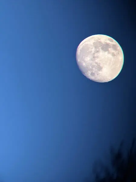 moon photo taken with skymaster binoculars