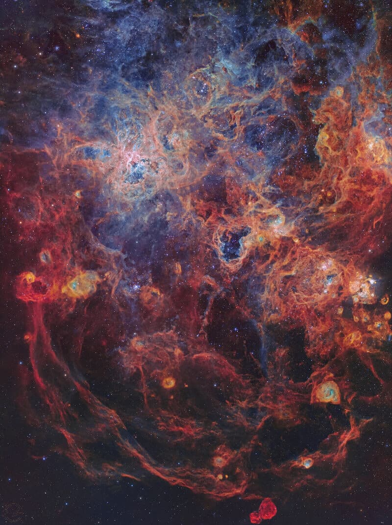 tarantula nebula Steeve Body