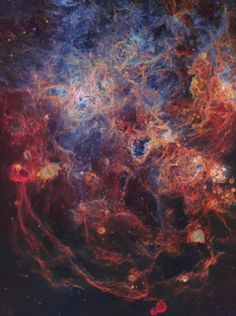 tarantula nebula Steeve Body