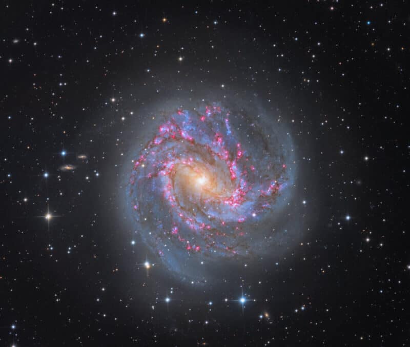 M83 Southern Pinwheel Galaxy (Credit: Harshwardhan Pathak (processing) / original data from Telescope Live)