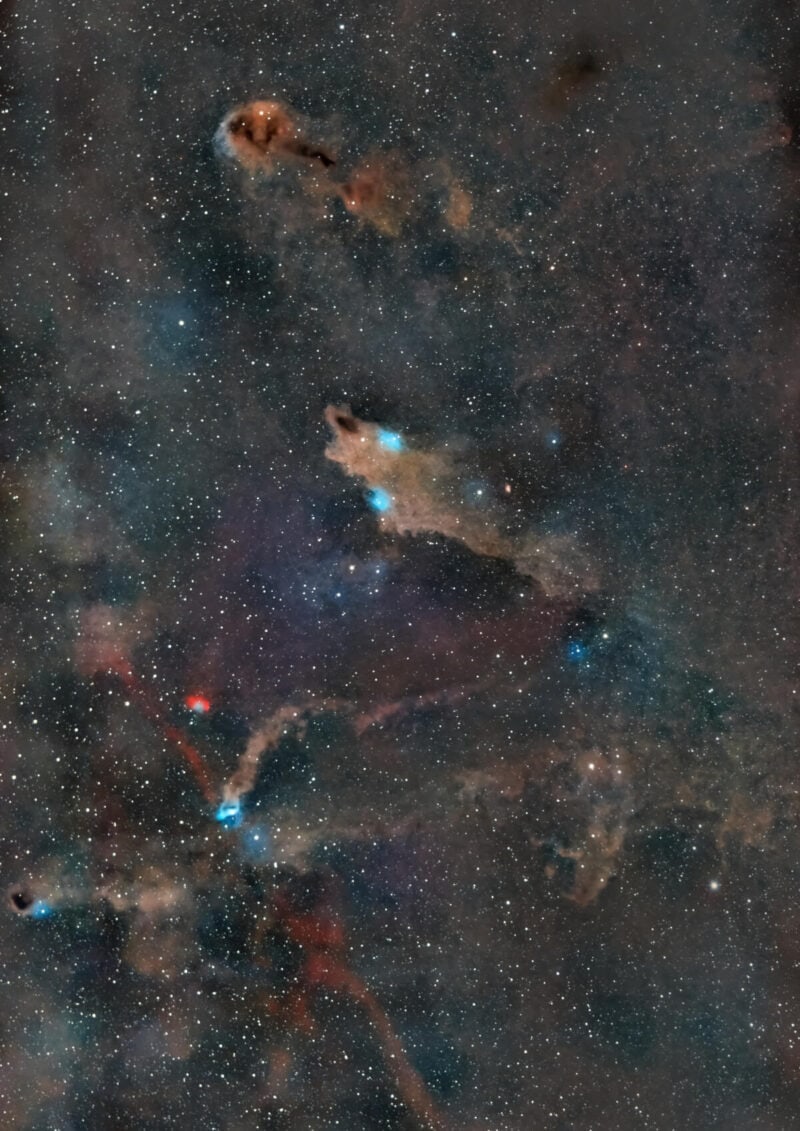 The Dark Shark Nebula in Cepheus (Image Credit: Cayetana Saiz)
