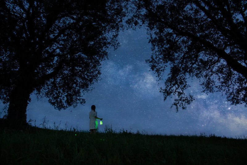 Fireflies in 24mm (Image Credit: Cayetana Saiz)