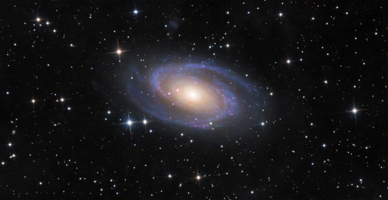 M81, a Grand Design Spiral Galaxy © Holden Aimar