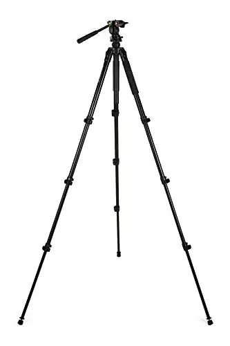 Celestron Regal Tripod