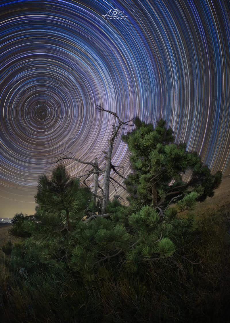 Sassotetto Albero Star Trail web