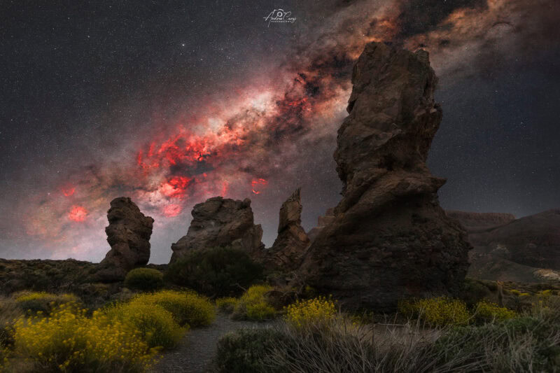 Tenerife Roque De Garcia 2025 Coda 2 web