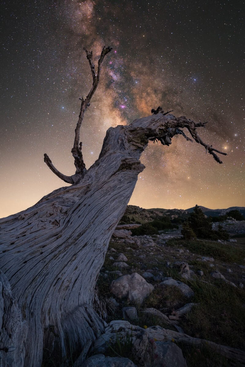 Stargate - Luca Gallucci